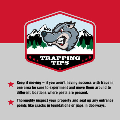 The Predator™ Mouse Snap Trap