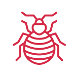 Crop Insects