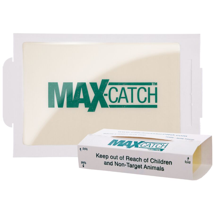 72MAX Econo-Series Mouse & Insect Glue Boards, 72-Count