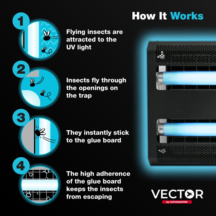 Vector® 30, Matte-Black Finish