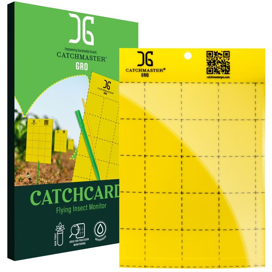Catch Card