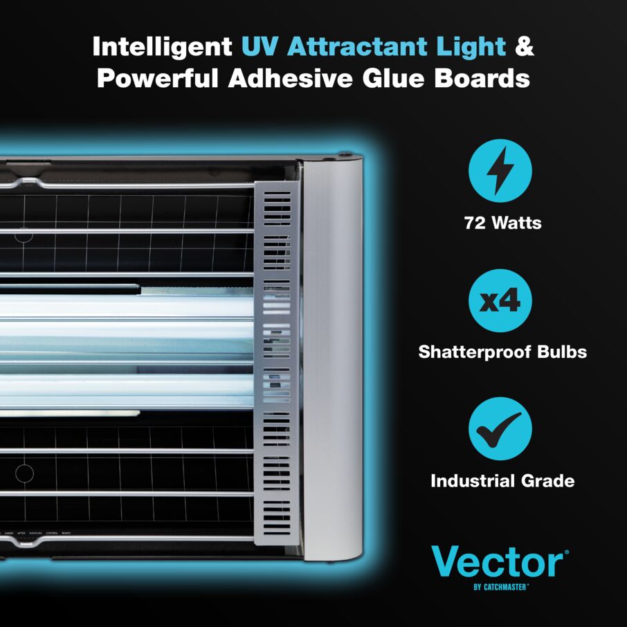 Vector® Plasma Grilled