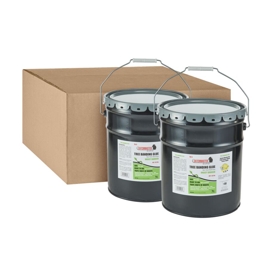 5-Gallon Can of Tree Banding Adhesive, 1-Count