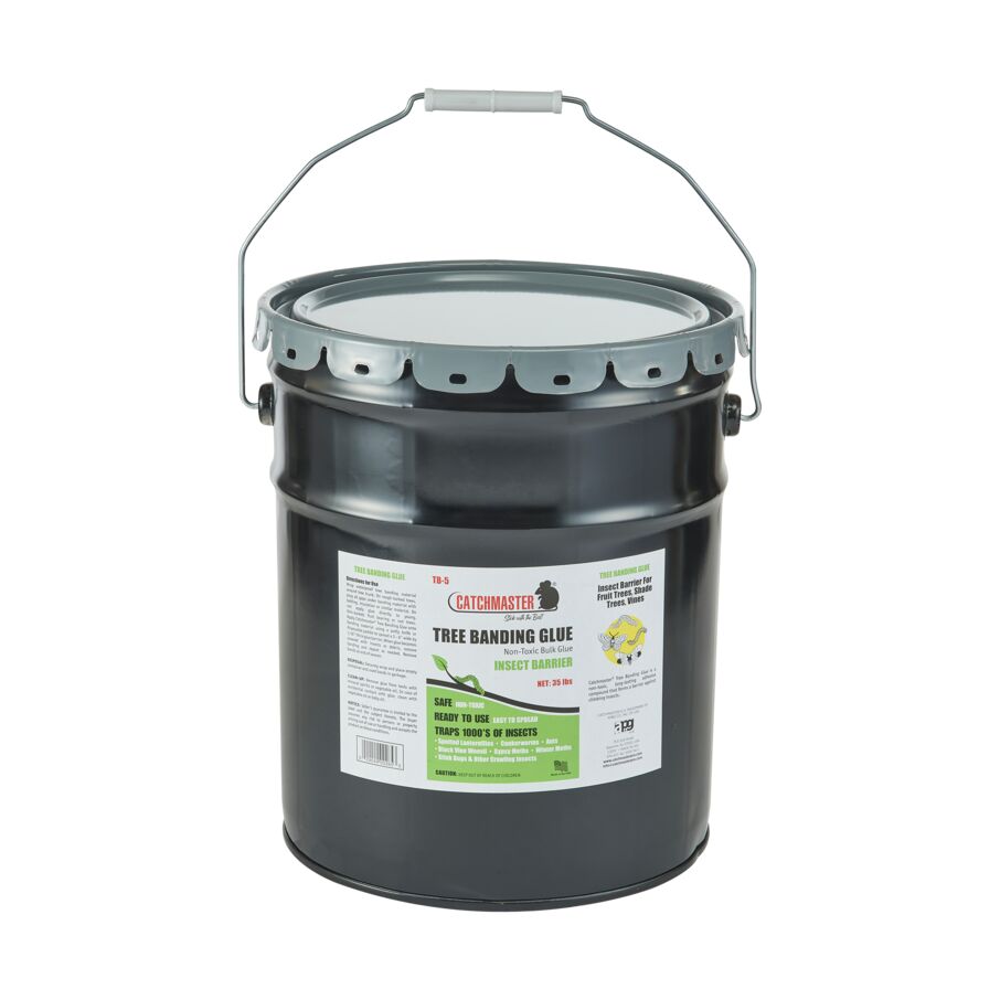 5-Gallon Can of Tree Banding Adhesive, 1-Count
