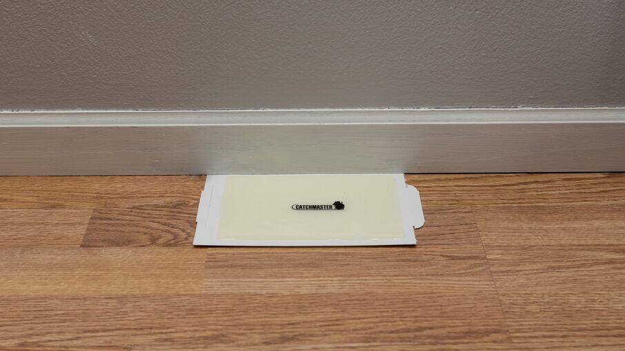 72MB Series Mouse & Insect Glue Boards, 72-Count
