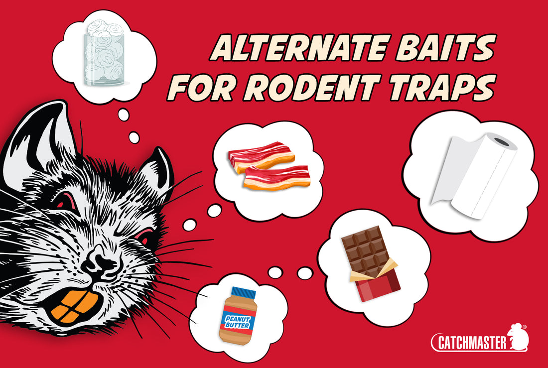 Alternate Baits for Rodents