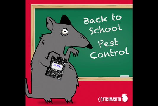 Back to School Pest Control