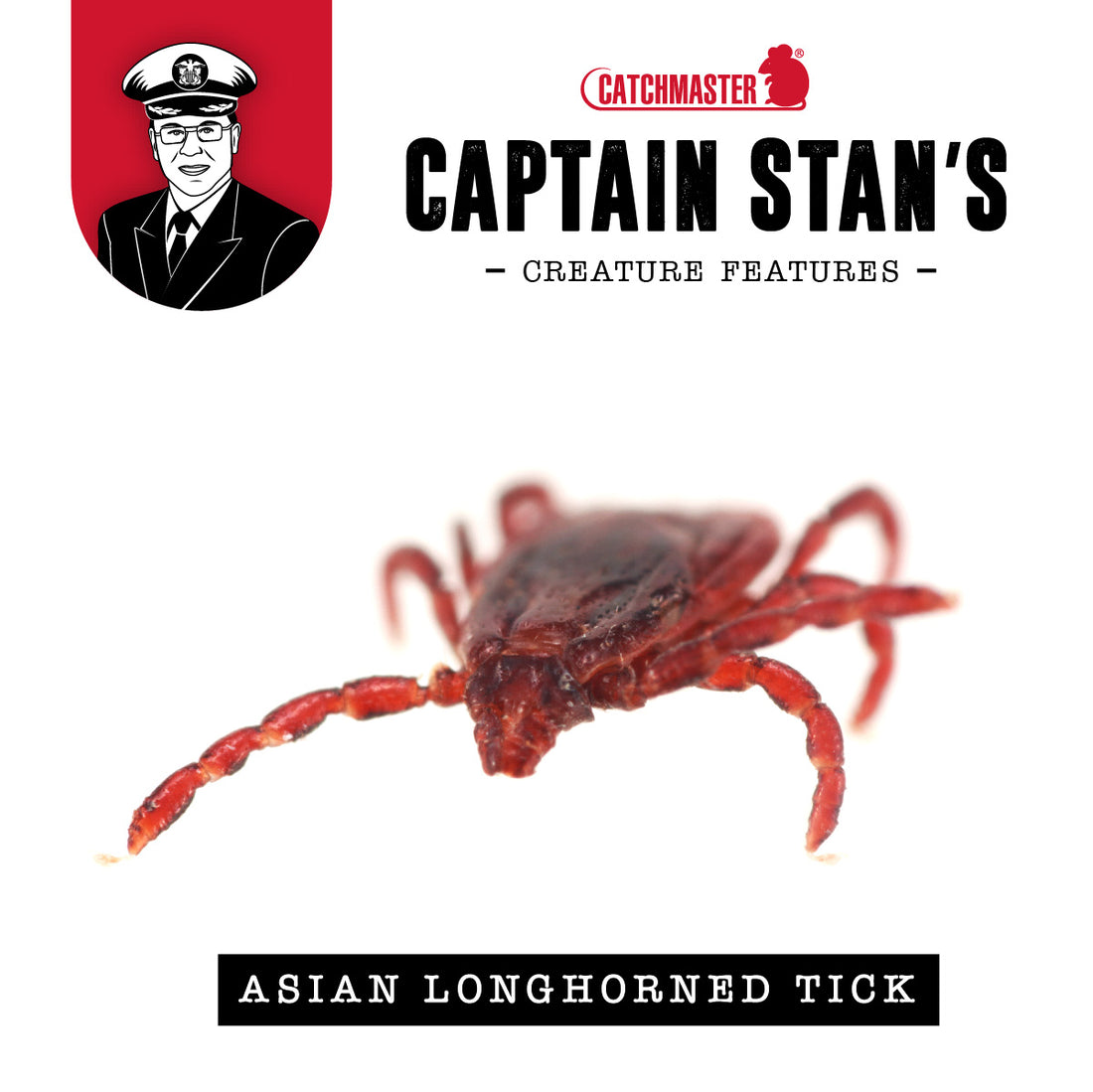 Captain Stan’s ‘Creature Features’ Volume 4 –  Asian Longhorned Ticks July 2022