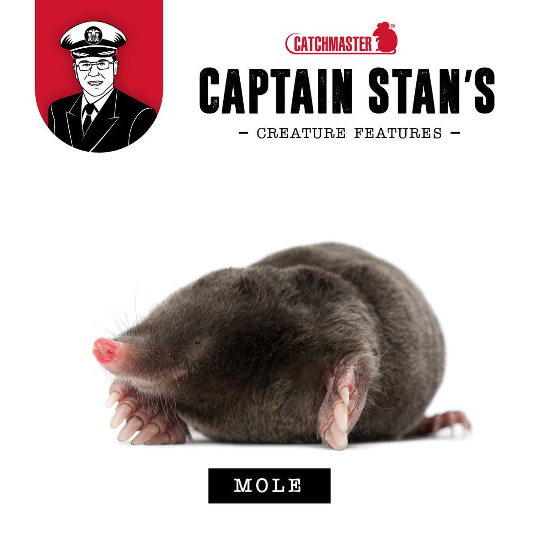 Captain Stan’s ‘Creature Features’ – Volume 3 - Moles June 2022