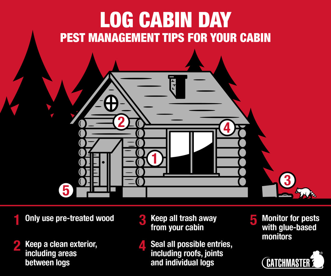 5 Pest Tips for Log Cabins