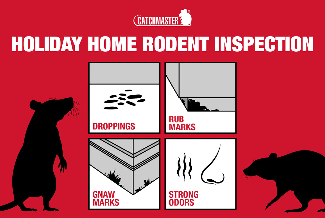 Holiday Rodent Inspection Tips