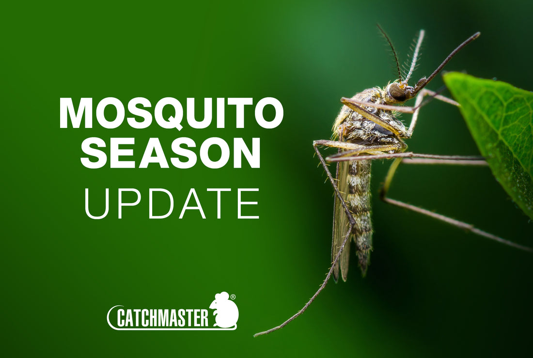 2019 Mosquito Season Update