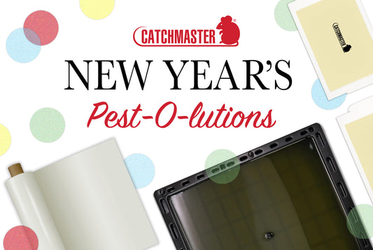 5 New Year's Pest-O-Lutions