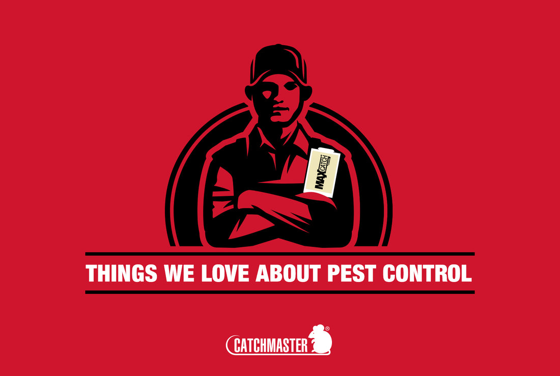 Things We Love About Pest Control