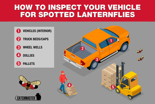 Inspecting a Vehicle for the Spotted Lanternfly