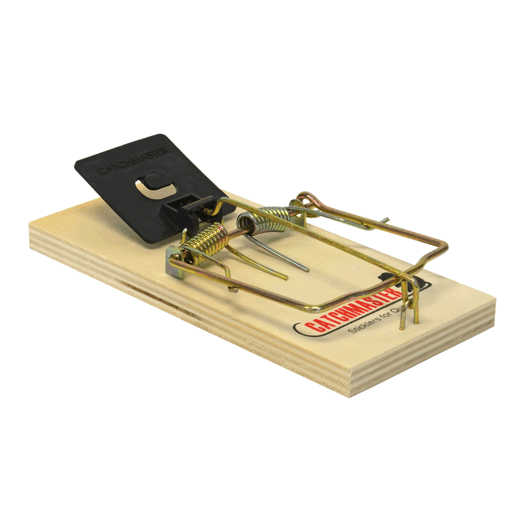 Mouse – CatchmasterPRO