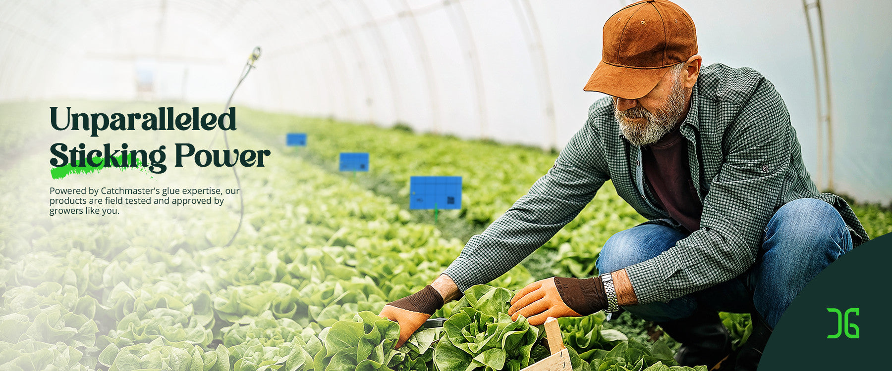 Pest Identification Guide | Identify Common Pests | CatchmasterPRO