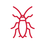 Cockroach, Cricket & Centipede