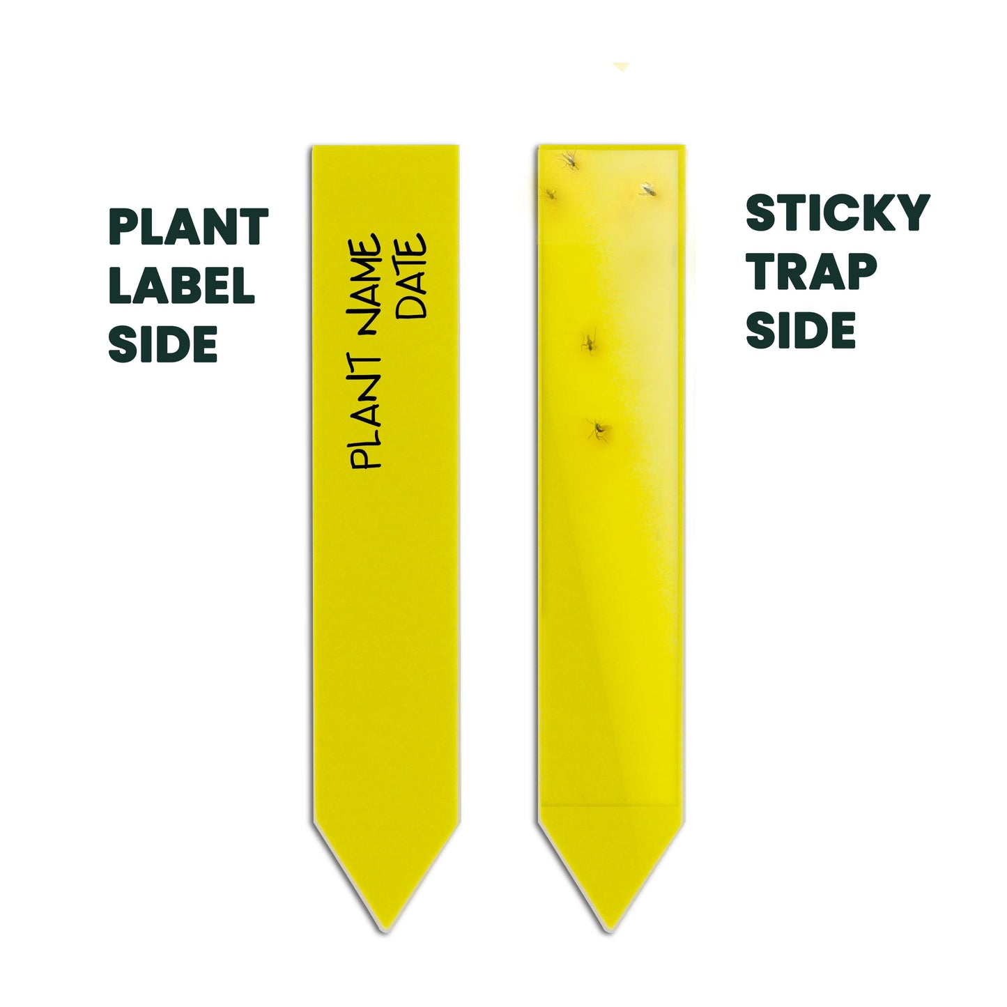 Dual-Action Plant Label