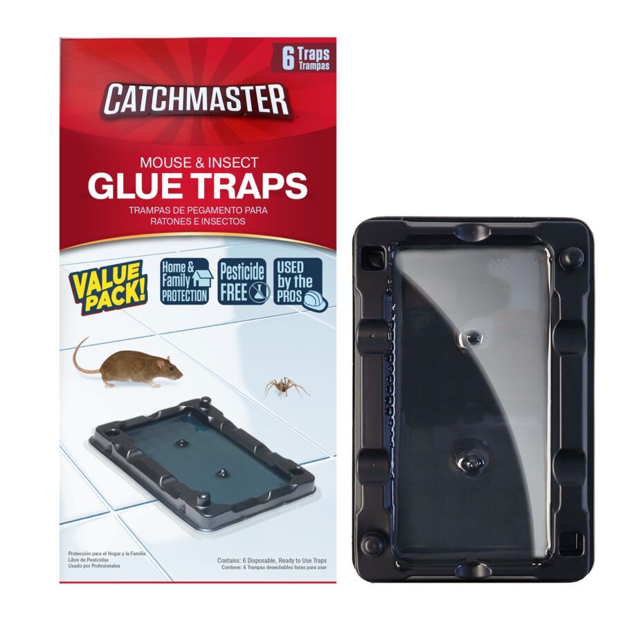 Mouse & Insect Glue Traps 
