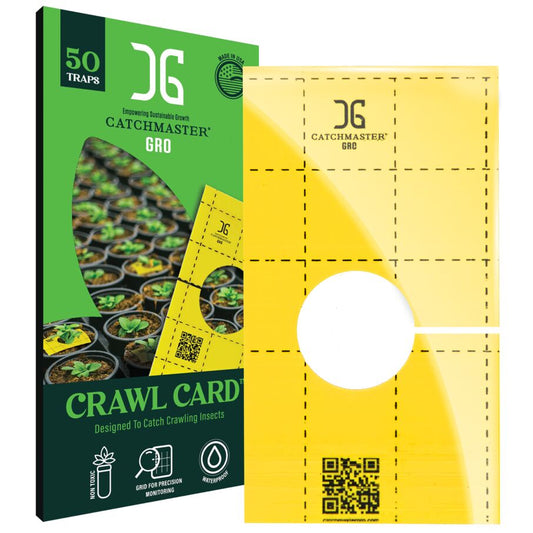 Sticky Insect Traps with Center Hole