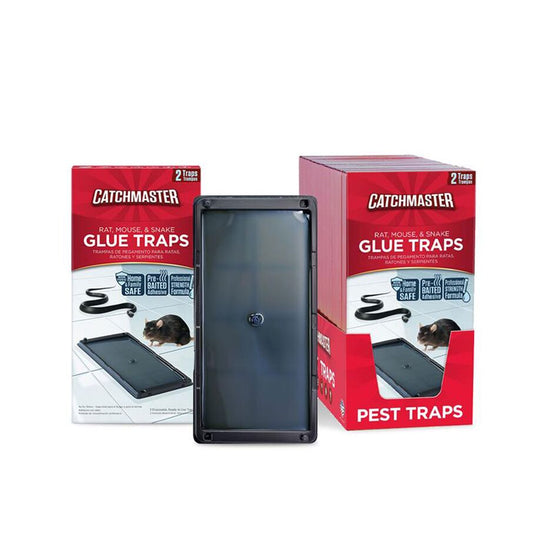 Rat, Mouse & Snake Glue Traps