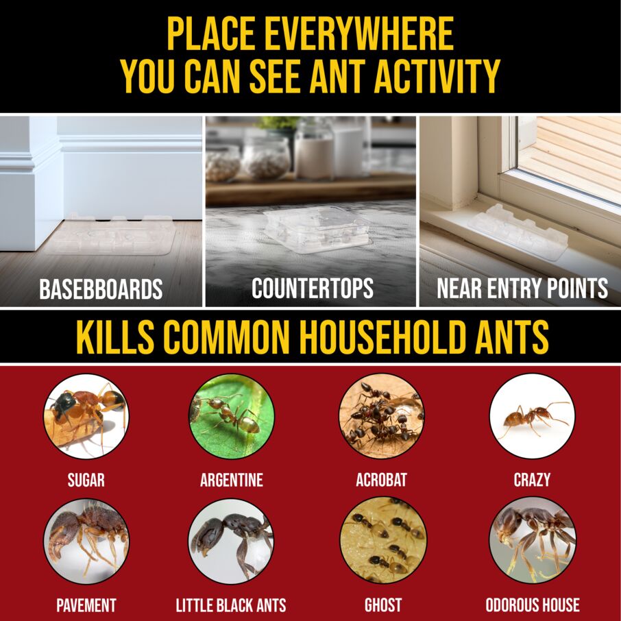 DEFIANT™ Premium Liquid Ant Control