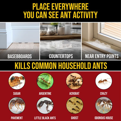 DEFIANT™ Premium Liquid Ant Control