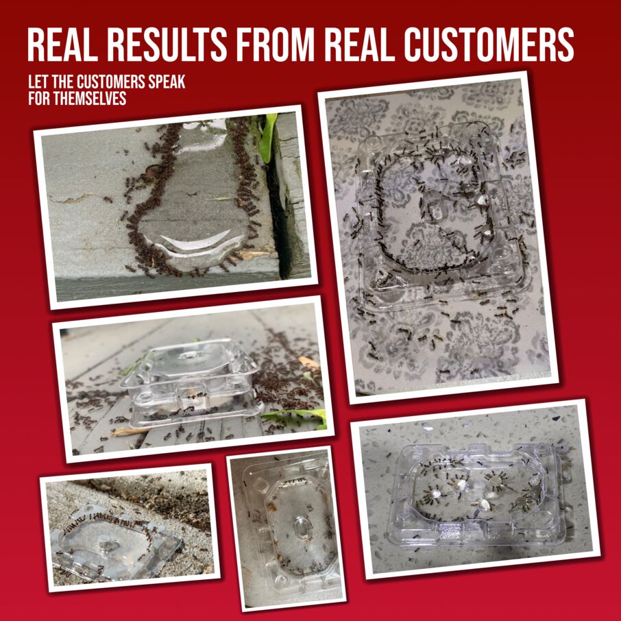 DEFIANT™ Premium Liquid Ant Control