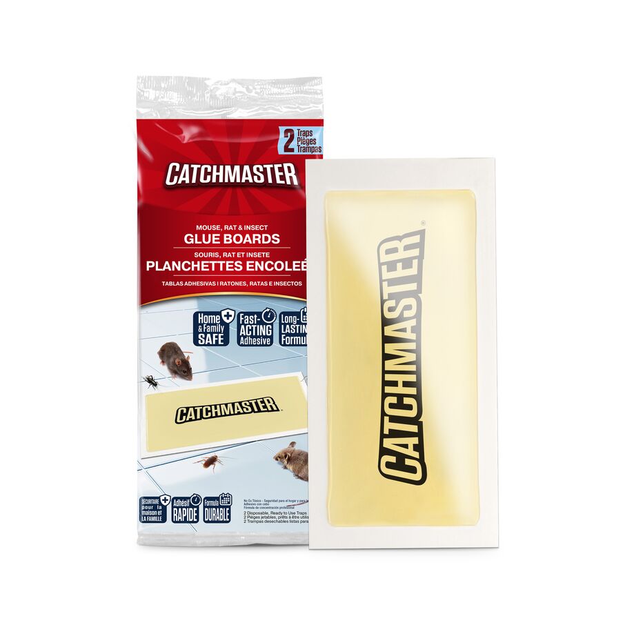 Rat & Mouse Glue Boards