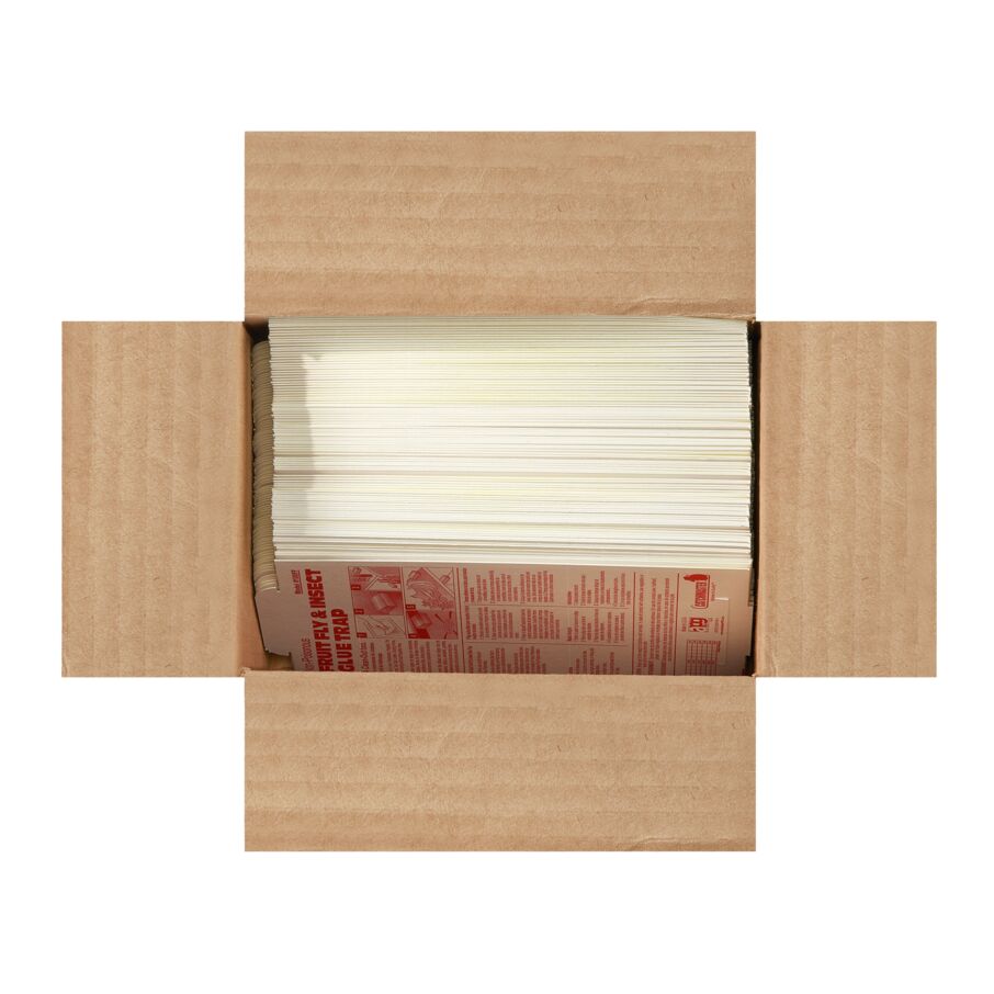 Fruit Fly & Insect Glue Traps, 100-Count