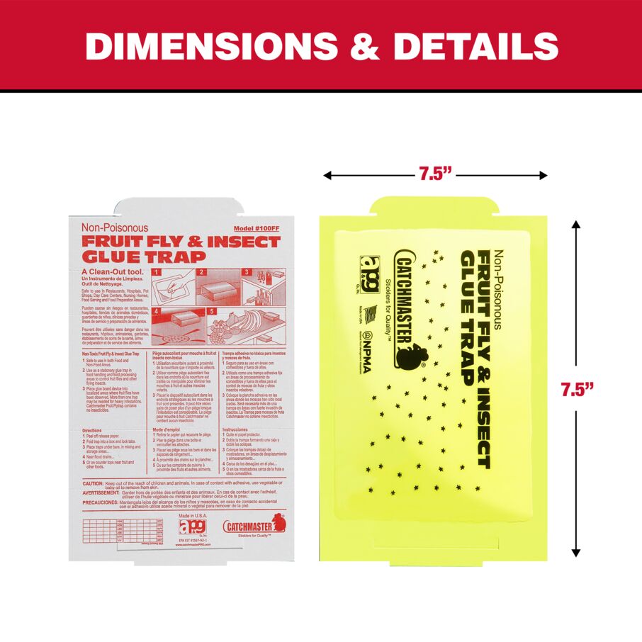 Fruit Fly & Insect Glue Traps, 100-Count