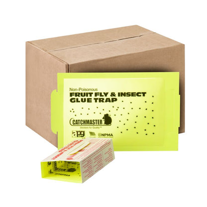 Fruit Fly & Insect Glue Traps, 100-Count