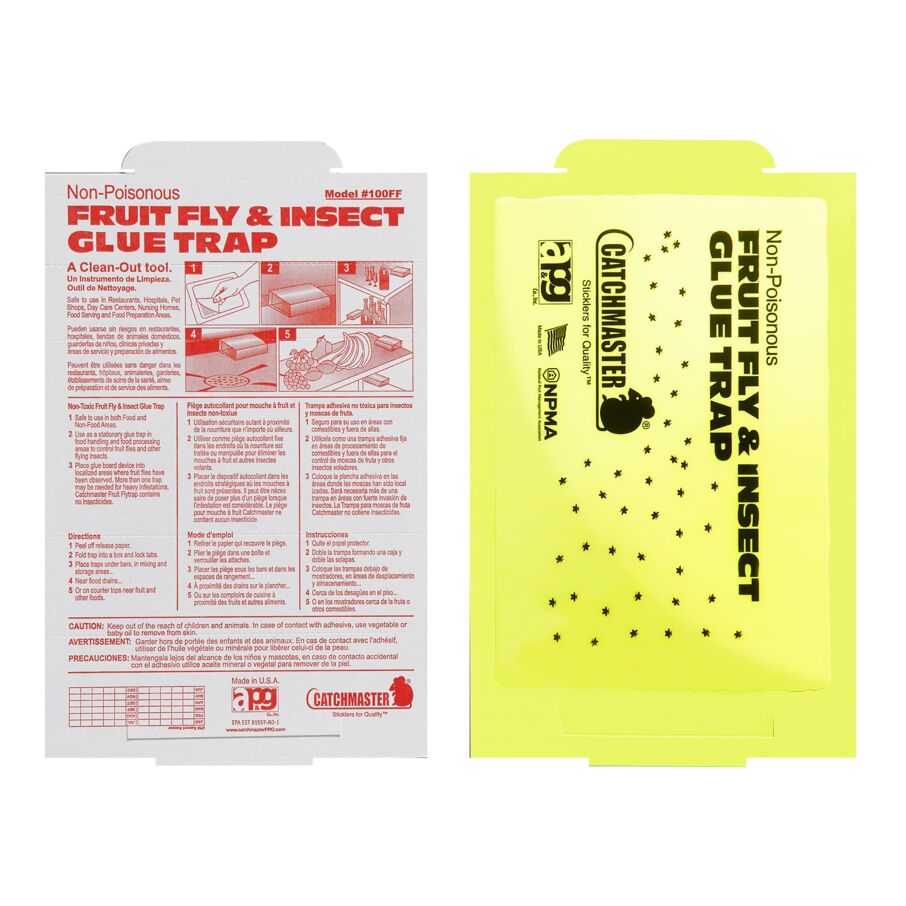 Fruit Fly & Insect Glue Traps, 100-Count