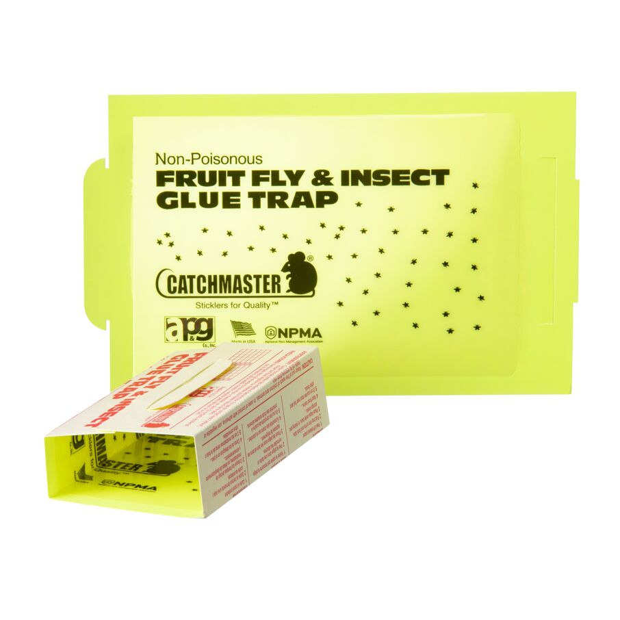 Fruit Fly & Insect Glue Traps, 100-Count