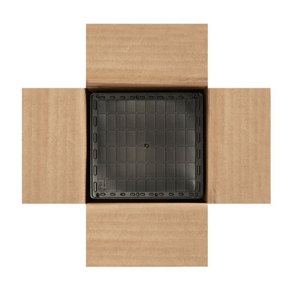 Jumbo Rodent Glue Trays, 24-Count
