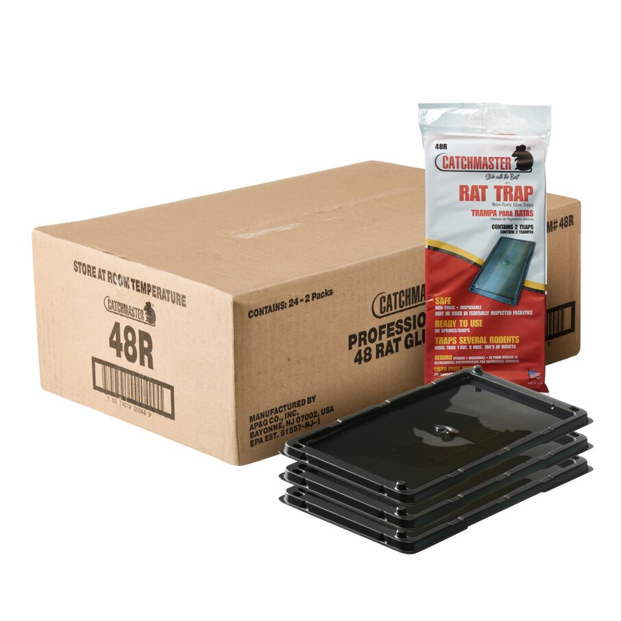 Bulk Black Rat Glue Traps, 48-Count – CatchmasterPRO