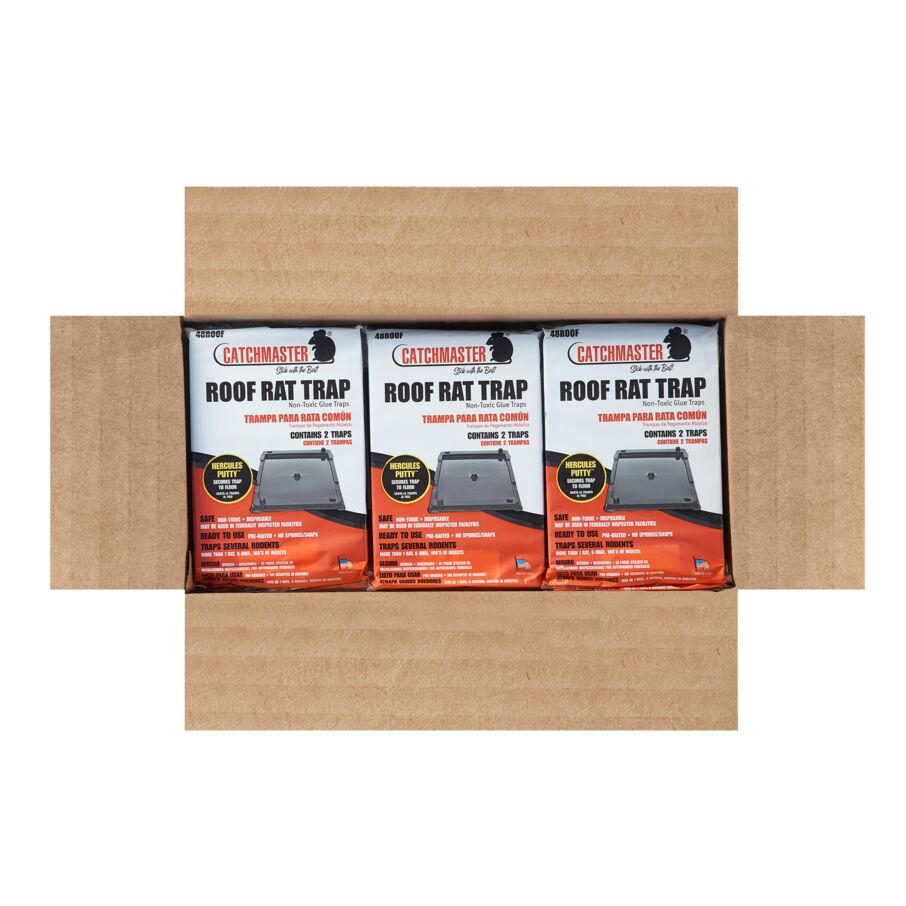 Roof Rat Glue Traps, 24 x 2-Count
