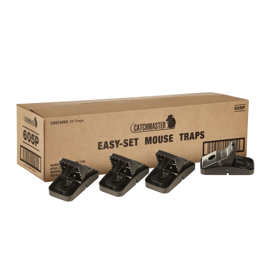 Easy-Set Mouse Traps, 24-Count