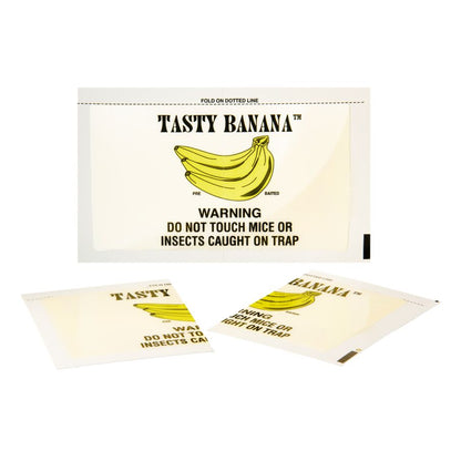 Tasty Banana Mouse & Insect Glue Boards, 72-Count