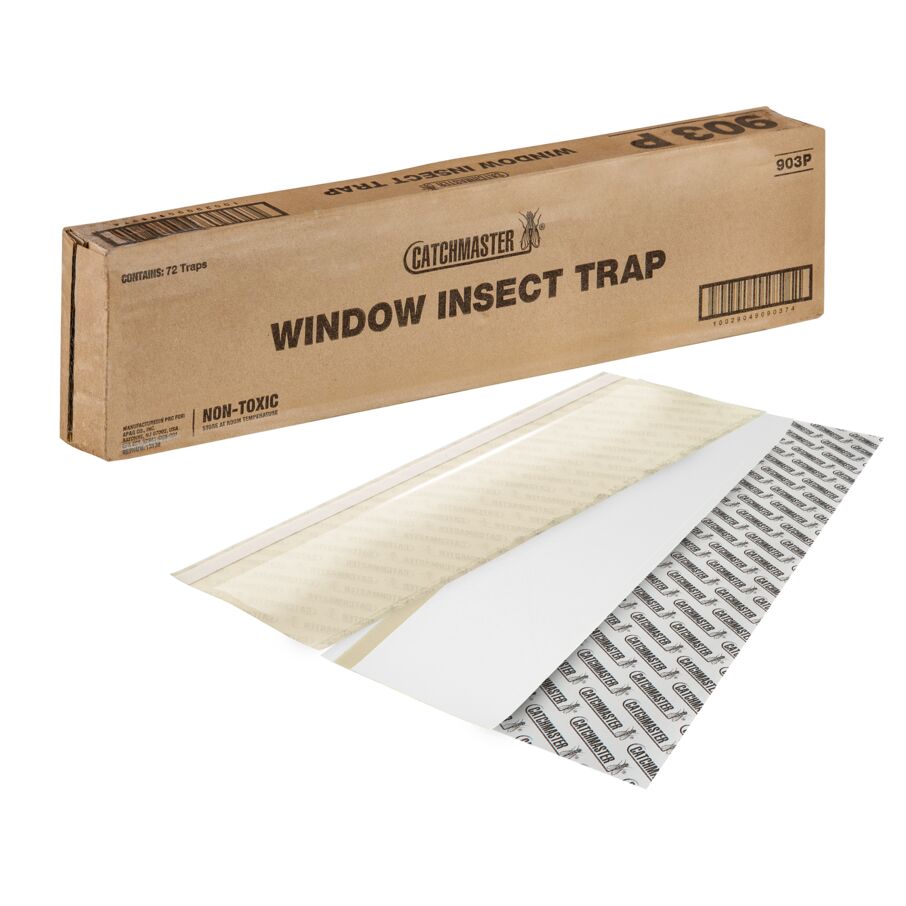 Window Insect Traps, 72-Count