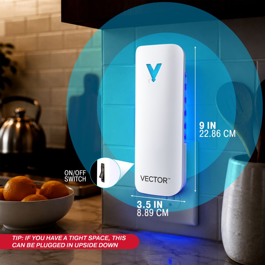 Vector 9 Plug In
