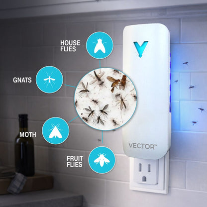 Vector 9 Plug In
