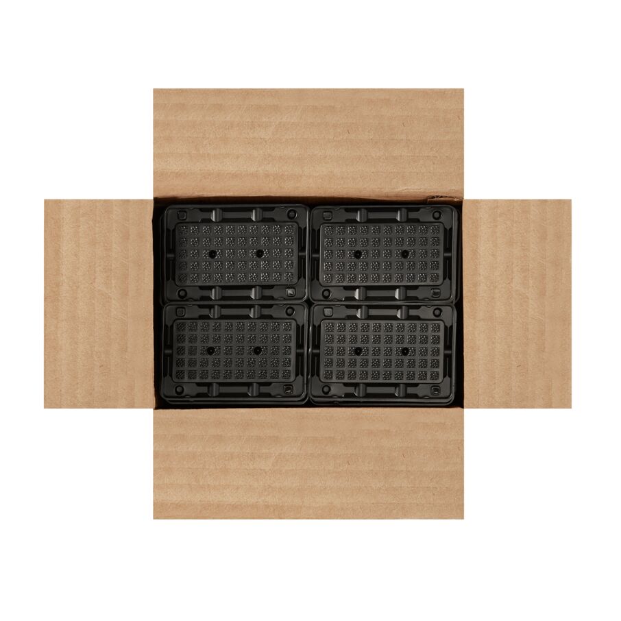Mouse Glue Trays, 96-Count