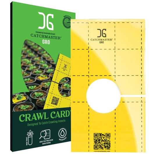 Crawl Card