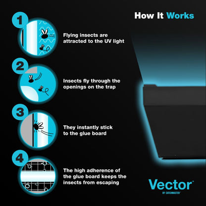 Vector® Optima, Black