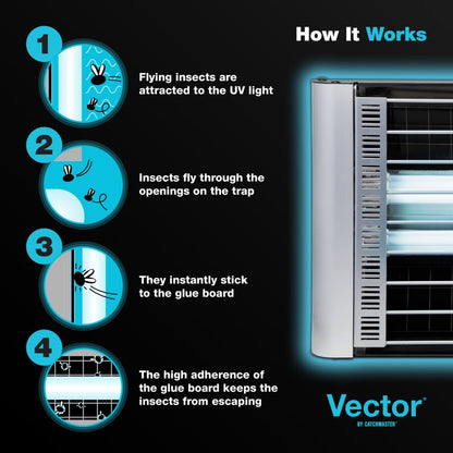 Vector® Plasma Grilled