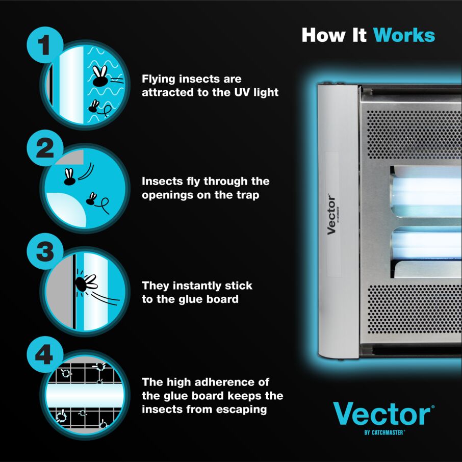 Vector® Plasma Screened