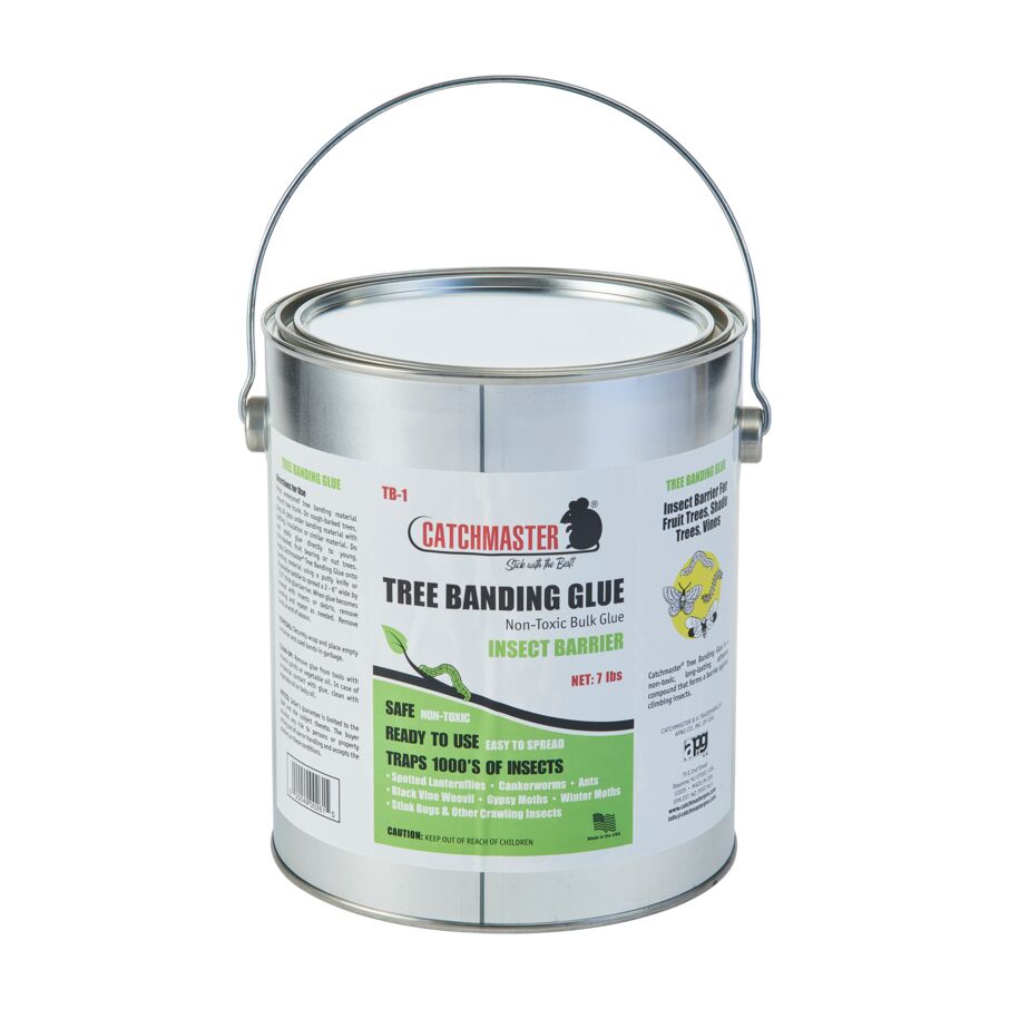 1-Gallon Can of Tree Banding Adhesive, 4-Count