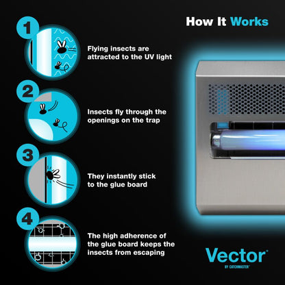 Vector® 15